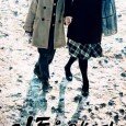 A female spy from North Korea comes to the South with a secret mission while a South Korean crime-squad detective falls in love with her whiteout knowing who she is.